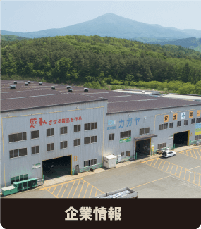 企業情報